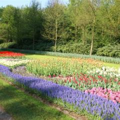 A Spring That Never Ends