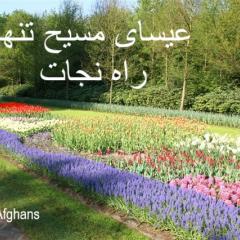 Jesus Christ's Invitation to Us Afghans