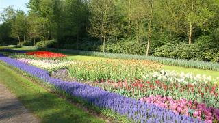 بهاری که هرگز پایان ندارد