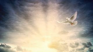 How Important Is the Holy Spirit?