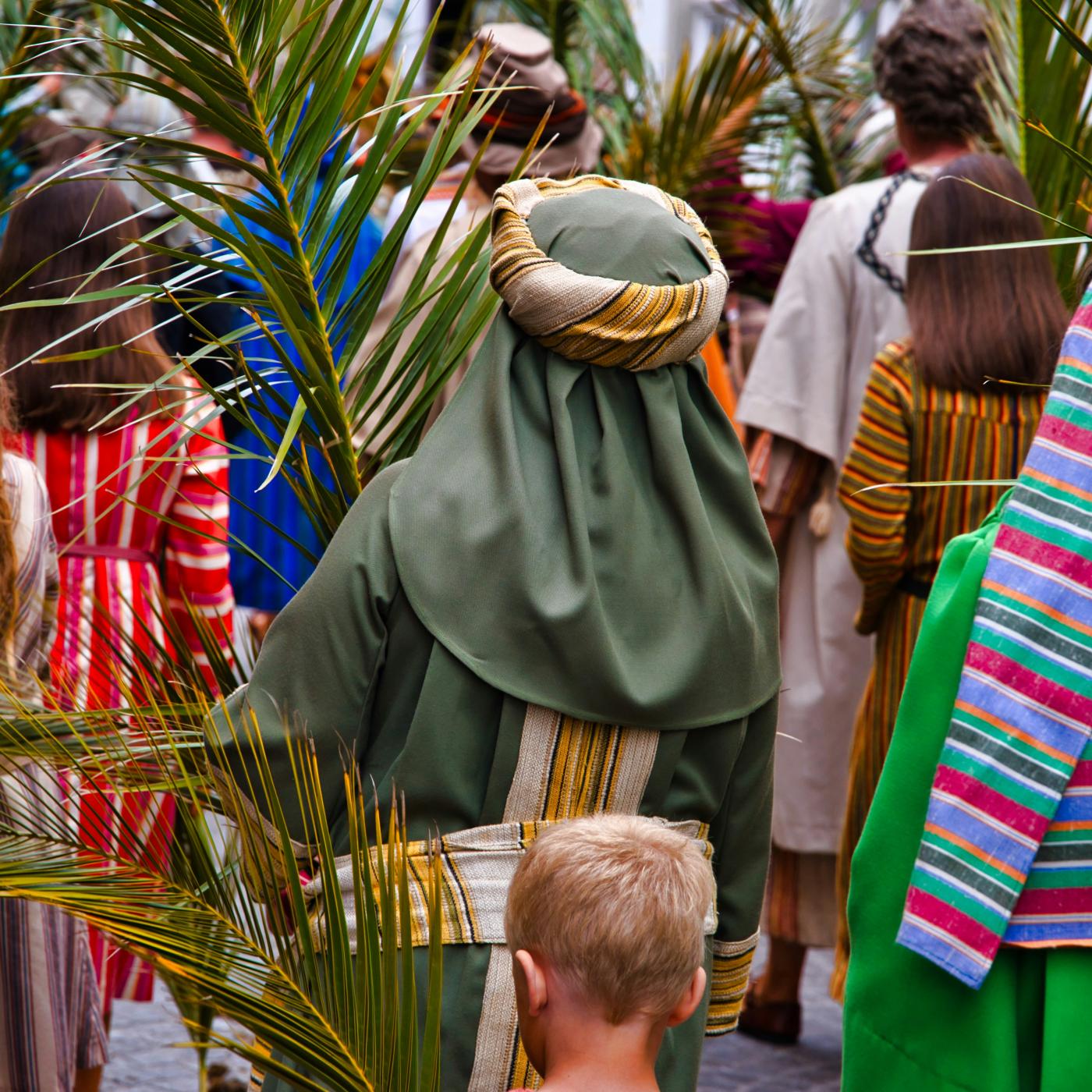 The Triumphal Entry of Jesus Christ Into Jerusalem episode artwork