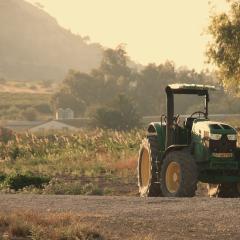 The Parable of the Sower