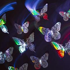 می‌توانید بهشتی را به دیگران تقدیم کنید