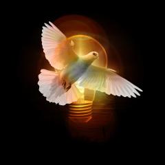 از خدا تولد یافتند