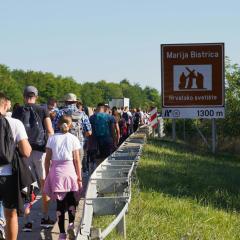 مهاجرت، آرزوهای گمشده جوانان