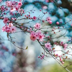 May Your New Nature and New Year Be Blessed.