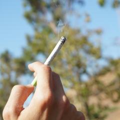 Quitting Unhealthy Habits