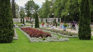 Some Tips to Follow When Going Out