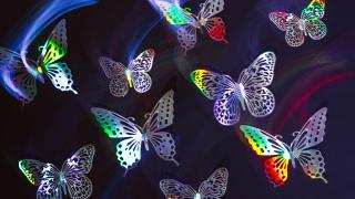 You Can Offer Paradise to Others.