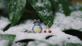 Who Is My Neighbour?