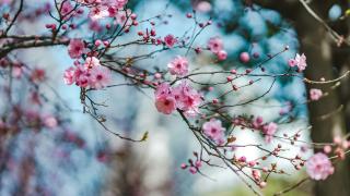 May Your New Nature and New Year Be Blessed.